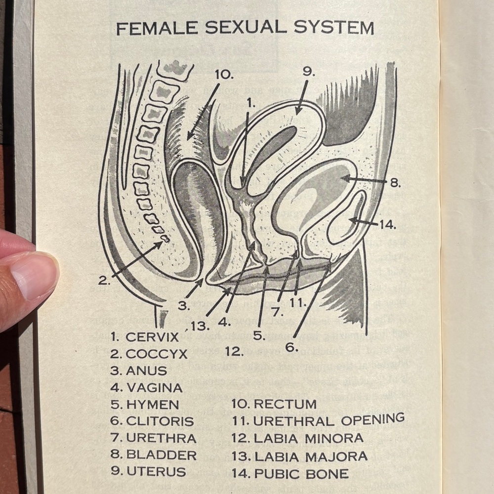 1947 Sexuality Sex Ed Pregnancy Wedlock Digest of Hygiene Mother and Daughter